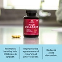 ancient-nutrition-multi-collagen-capules-6.jpg
