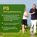 magnesium-l-threonate--100mg-dha-100mg-p-3.jpg