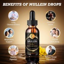 mullein-drops-for-lung-mullein-leaf-extr-4.jpg