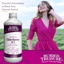 buried-treasure-elderberry-acf-with-4000-6.jpg
