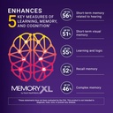 memoryxl-magnesium-l-threonate-brain-sup-3.jpg