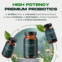 biofema-targetted-delivery-probiotics-pr-4.jpg
