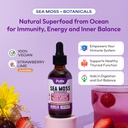 sea-moss-and-ashwagandha-liquid-suppleme-2.jpg