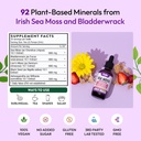 sea-moss-and-ashwagandha-liquid-suppleme-4.jpg