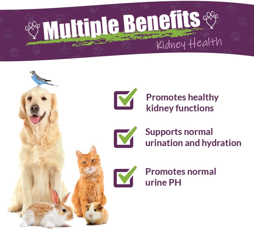 amber-naturalz-kidney-rejuvenator-herbal-2.jpg