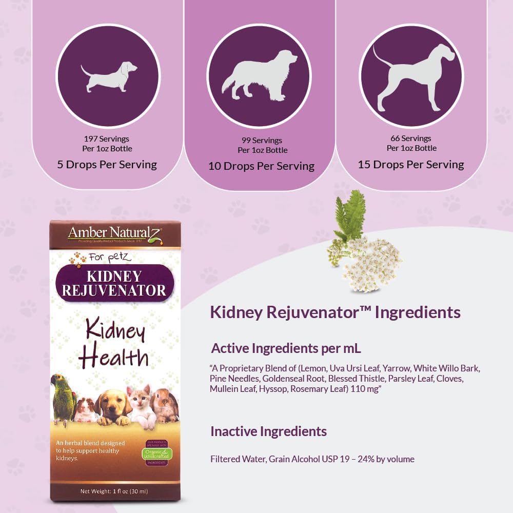 amber-naturalz-kidney-rejuvenator-herbal-4.jpg