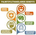 1500-mg-palmitoylethanolamide-with-luteo-3.jpg