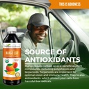 mango-leaf-extract-liquid-organic---afri-6.jpg