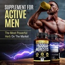 earth-elixir-fadogia-agrestis-supplement-4.jpg
