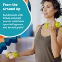 garden-of-life-organic-vegan-protein-pow-6.jpg