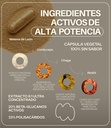 adaptogenic-mushroom-extract-blend-lions-4.jpg