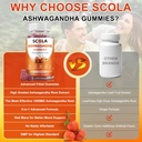 ashwagandha-gummies-calm-gummies-with-as-3.jpg