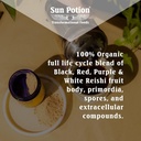 sun-potion-reishi-mushroom-powder-organi-2.jpg