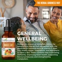 herbal-goodness-mango-leaf-extract-organ-5.jpg