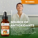 herbal-goodness-mango-leaf-extract-organ-6.jpg