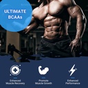 gaspari-nutrition-aminomax-8000-advanced-4.jpg