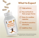 andrew-lessman-urgent-energy-180-capsule-4.jpg