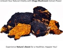 jetsu-pure-7-organic-mushroom-extract-po-5.jpg