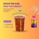 purple-tree-organic-energy-stick-packets-4.jpg