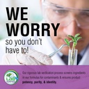 solaray-artichoke-leaf-extract-600mg-gua-4.jpg