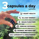 complement-essential-vegan-multivitamin--2.jpg