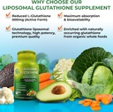 daily-immune-antioxidant-support-bundle--2.jpg