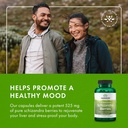 swanson-full-spectrum-schizandra-berries-6.jpg