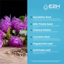 e2h-liver-support-supplement-and-liquid--3.jpg