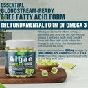 vegan-omega-3-gummies-vitamin-b100-compl-5.jpg
