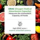 paradise-herbs-orac-energy-greens-powder-4.jpg
