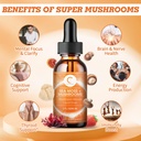 sea-moss-mushrooms-liquid-drops-lions-ma-3.jpg