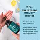 ancient-nutrition-super-greens-with-prob-4.jpg