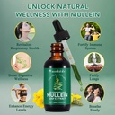 mullein-drops-for-lungs-natural-mullein--5.jpg