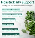super-greens-antioxidants-superfoods-225-3.jpg