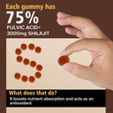 himalayan-nutritious-shilajit-gummies-go-4.jpg
