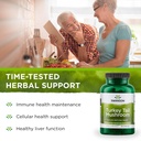 swanson-turkey-tail-mushroom---herbal-su-3.jpg