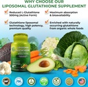 total-immune-hormonal-antioxidant-suppor-2.jpg