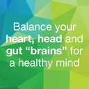 3-brains-by-natural-factors-3-brains-tot-3.jpg