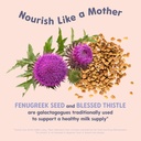 oat-mama-organic-lactation-supplement----4.jpg