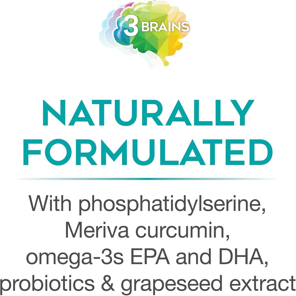 3-brains-by-natural-factors-3-brains-tot-5.jpg