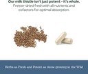 eclectic-herb---premium-freeze-dried-mil-6.jpg