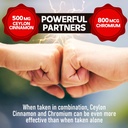 13in1-ceylon-cinnamon-capsules---200-cap-5.jpg