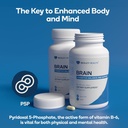 brain---balanced-neurotransmitter-suppor-5.jpg