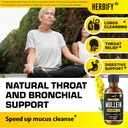 herbify-mullein-extract-2-oz-tincture-fo-4.jpg