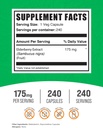 bulksupplementscom-elderberry-capsules---2.jpg