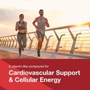 protocol-coq10-200-mg---for-heart-health-3.jpg