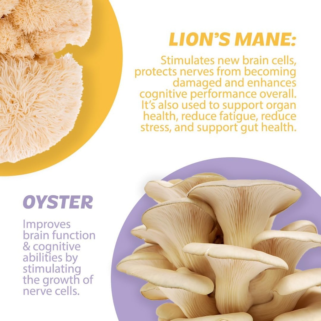silver-star-nutrition-roots-focus-nootro-5.jpg