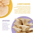 silver-star-nutrition-roots-focus-nootro-5.jpg