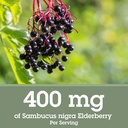 quantum-health-elderberry-liquid-extract-3.jpg