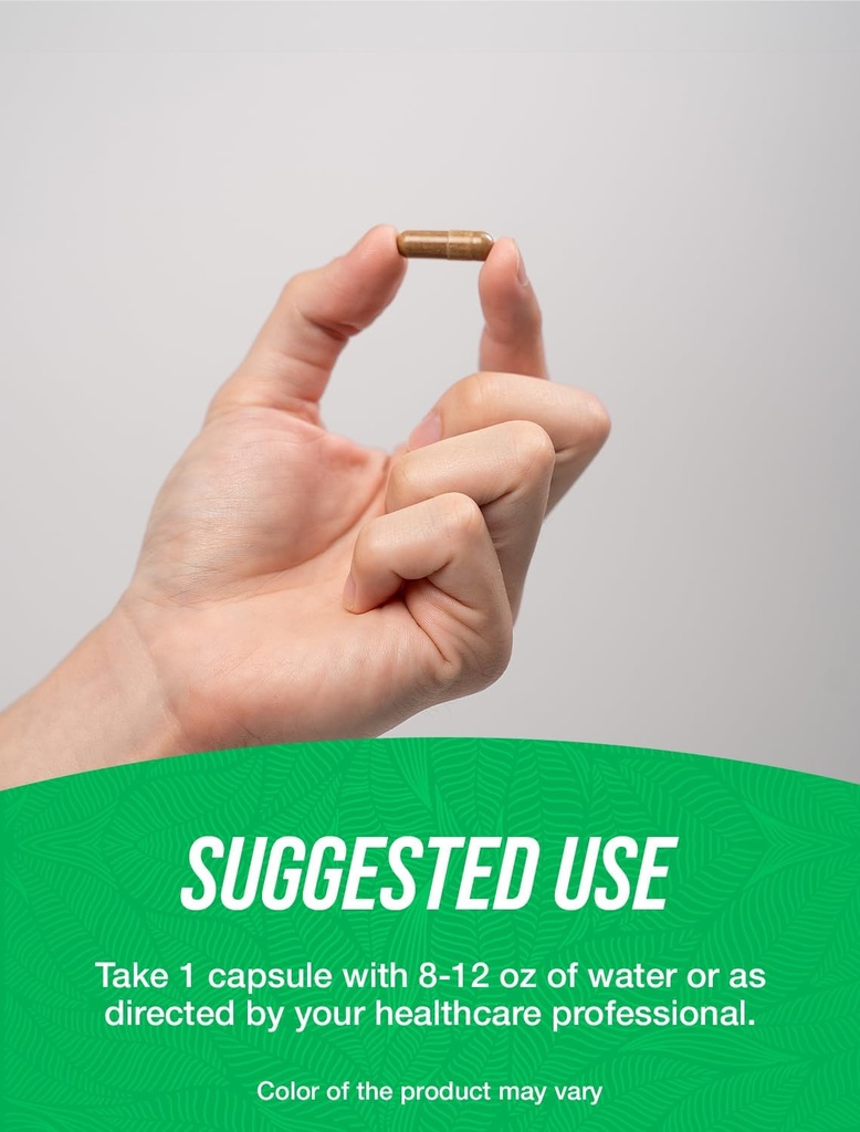 bulksupplementscomginkgo-biloba-extract--4.jpg